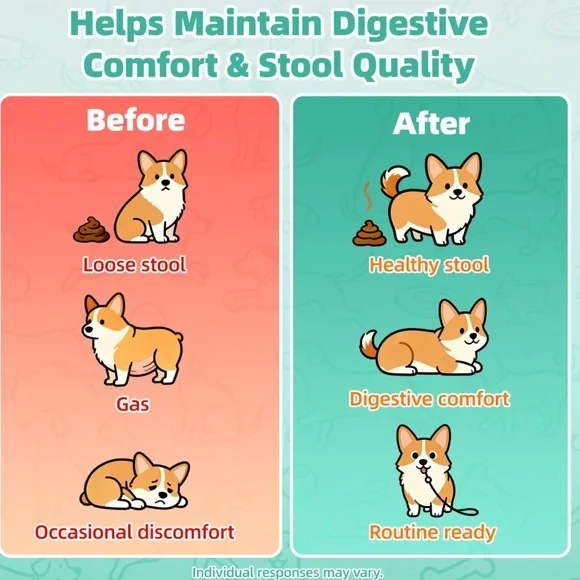 Hi PAW! Dog Probiotics Powder Turmeric 30 Packs**Made in USA - BRAND NEW! - Picture 4 of 7